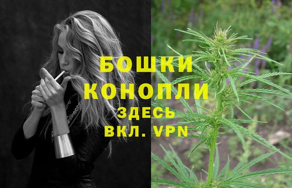 прущие грибы Зеленодольск